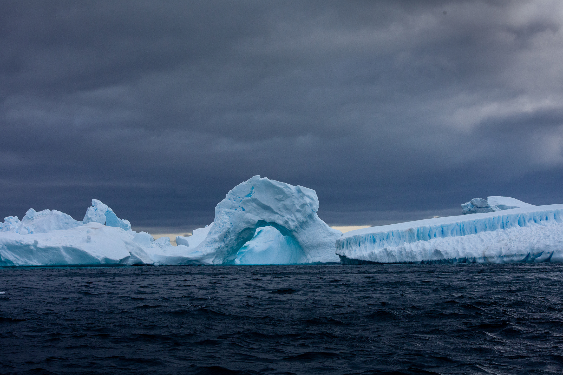 Antartica